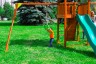 Детские городки Jungle Cottage + Rock +SwingModule Xtra + Рукоход с гимнастическими кольцами